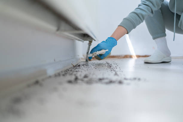 Best Commercial Pest Control Services  in Mesquite, NV